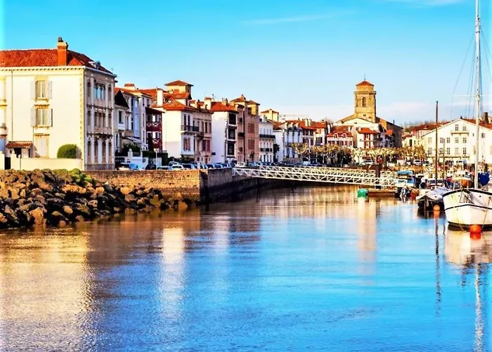 Apartment Plein Centre Historique, A 2 Pas, 3 Etoiles, Renove, 1 - Fr-1-4-671